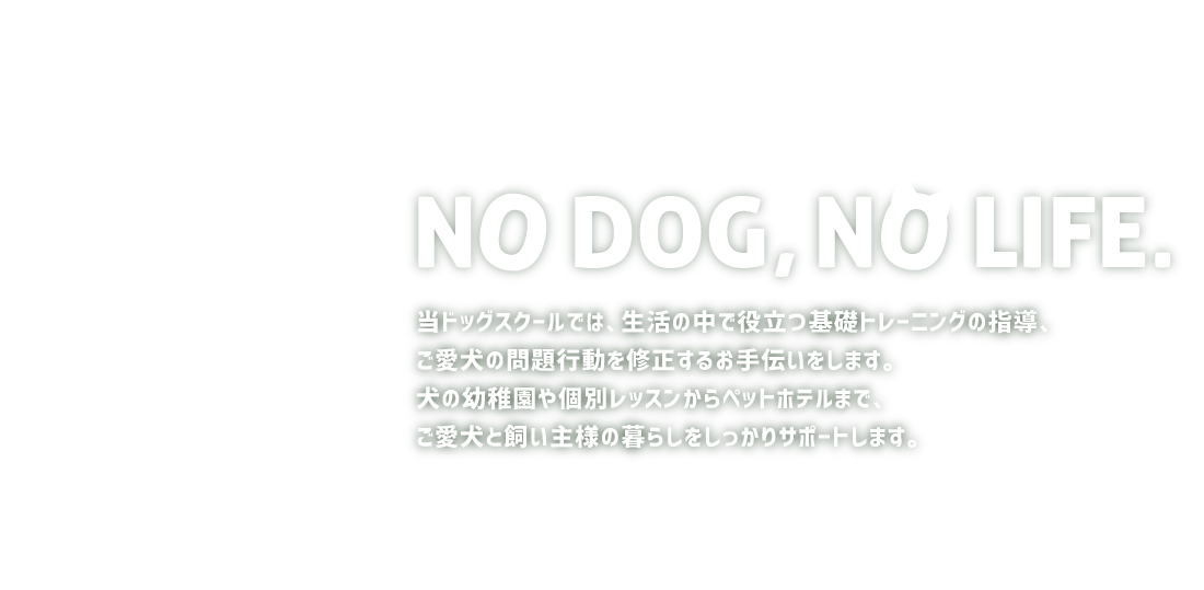 当ドッグスクールではワンちゃんのレッスンからペットホテルまで